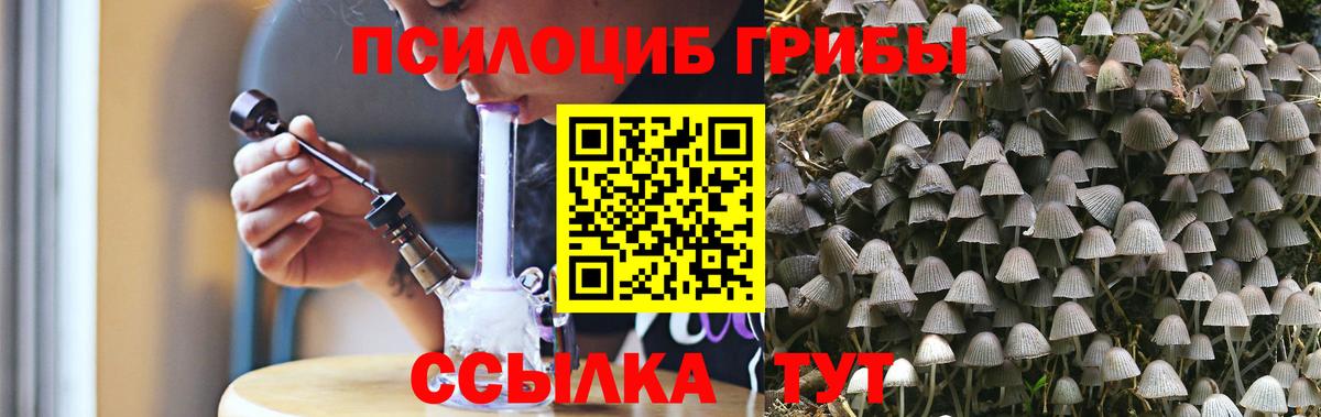 Галлюциногенные грибы Psilocybe Уссурийск